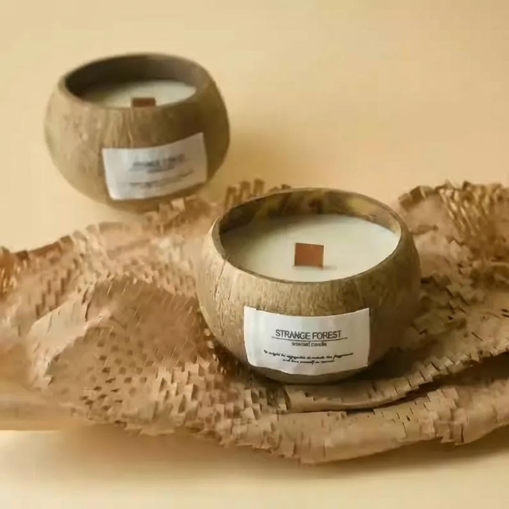 Two coconut shell candles with labels on a textured surface