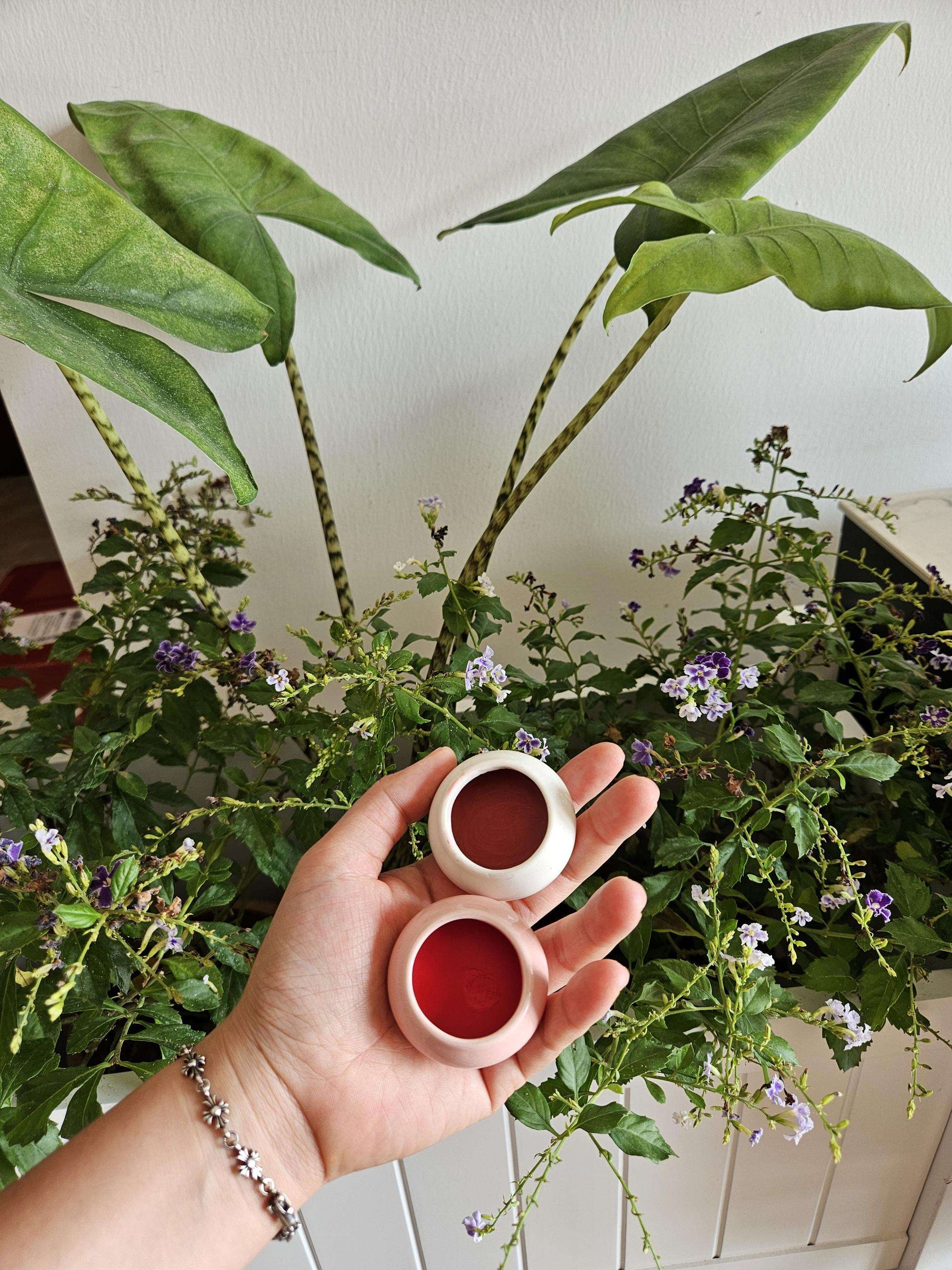 Natural Rose Petals Lip Balm &amp; Cheek Stain | Plant Based rouge in Ceramic Pot